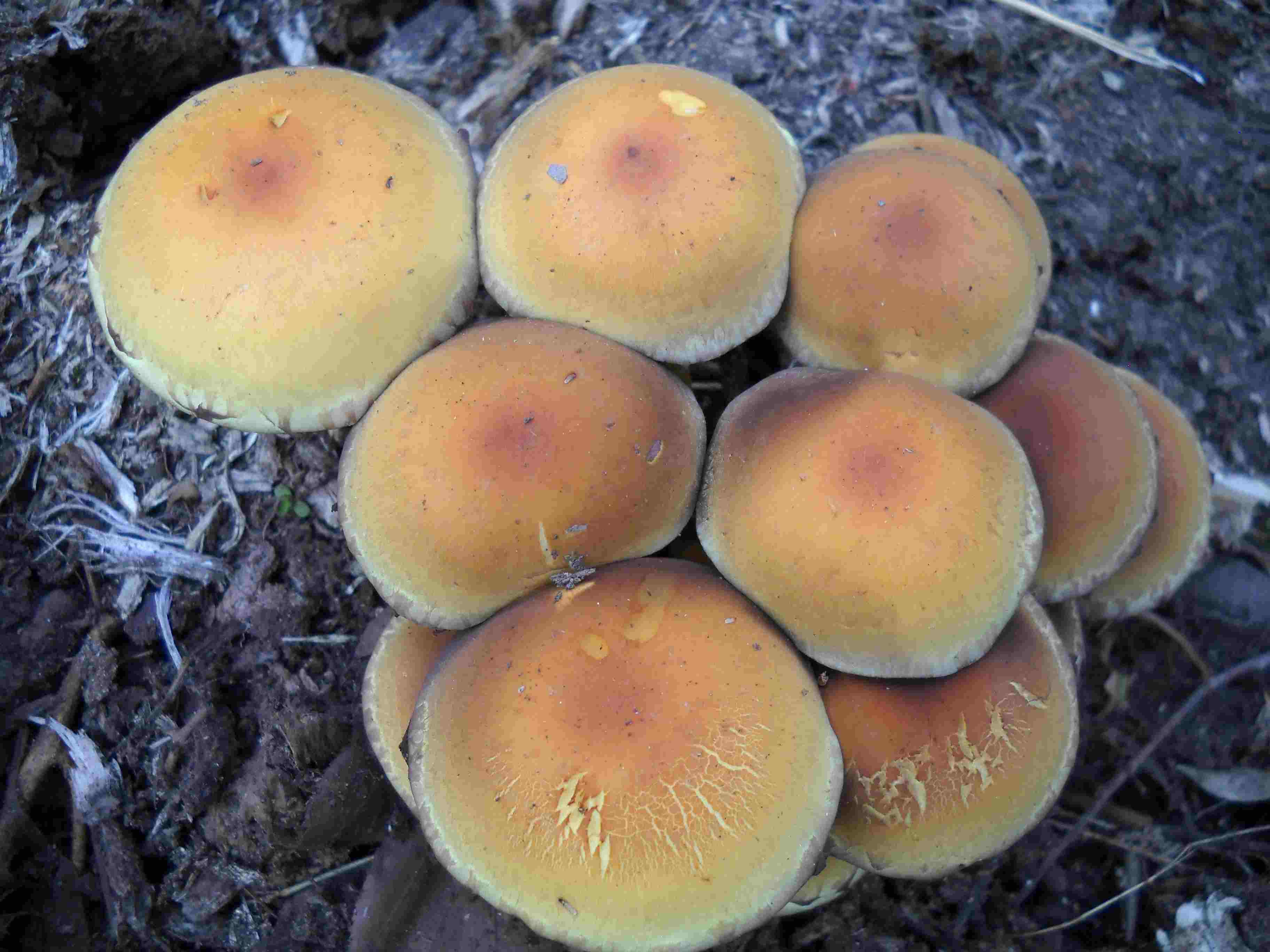 ritrovamenti di oggi