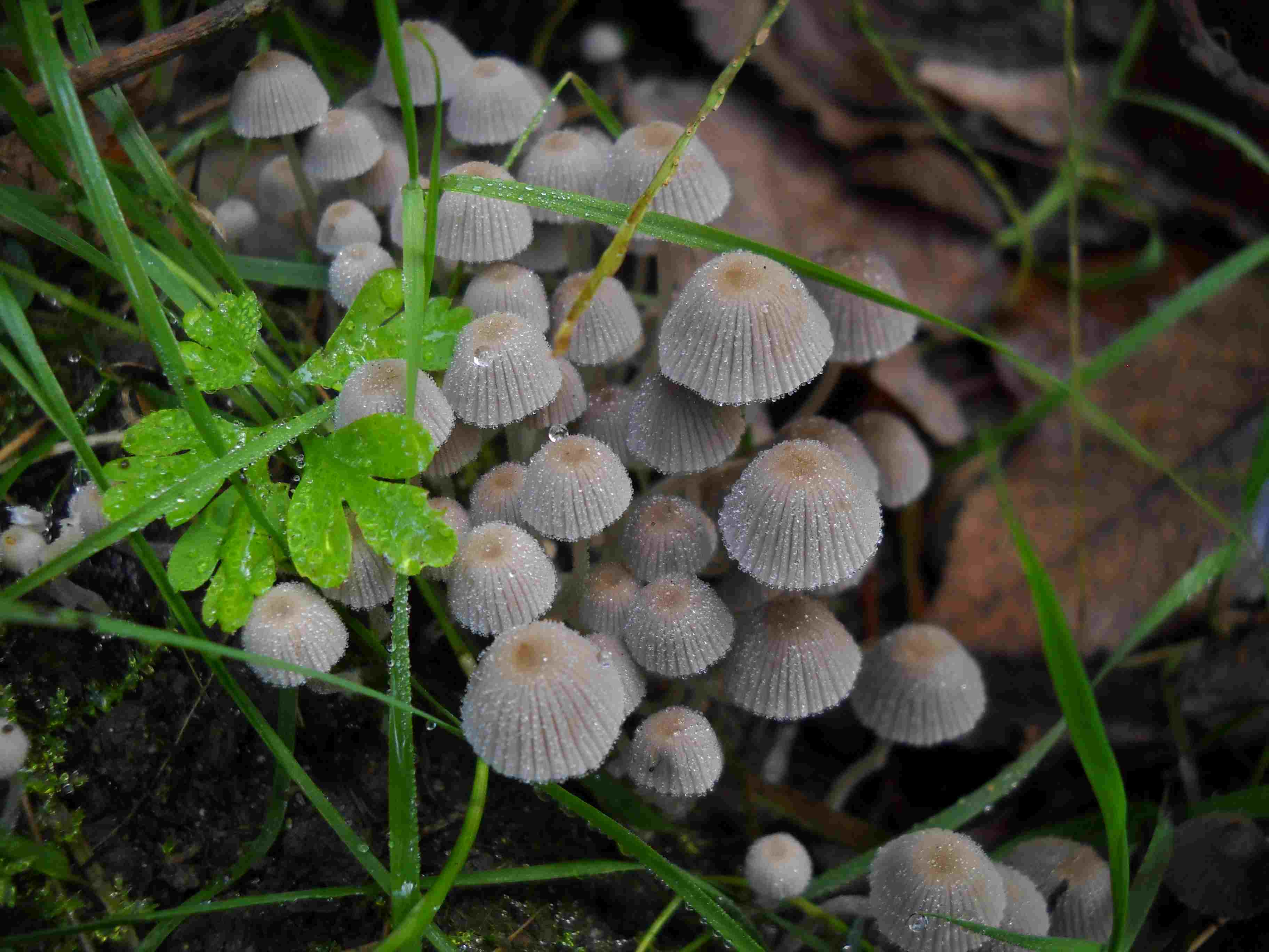 ritrovamenti di oggi