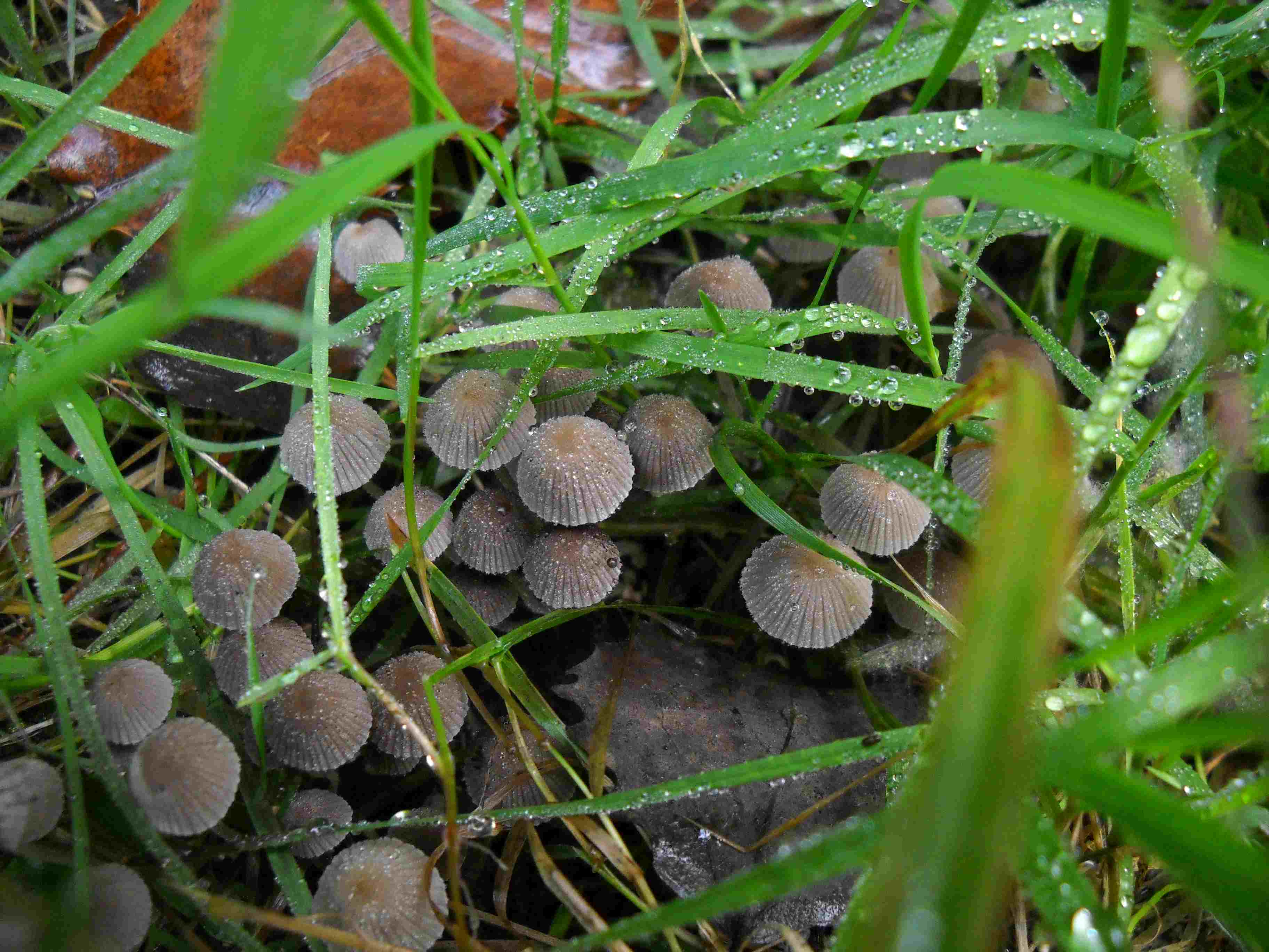 ritrovamenti di oggi