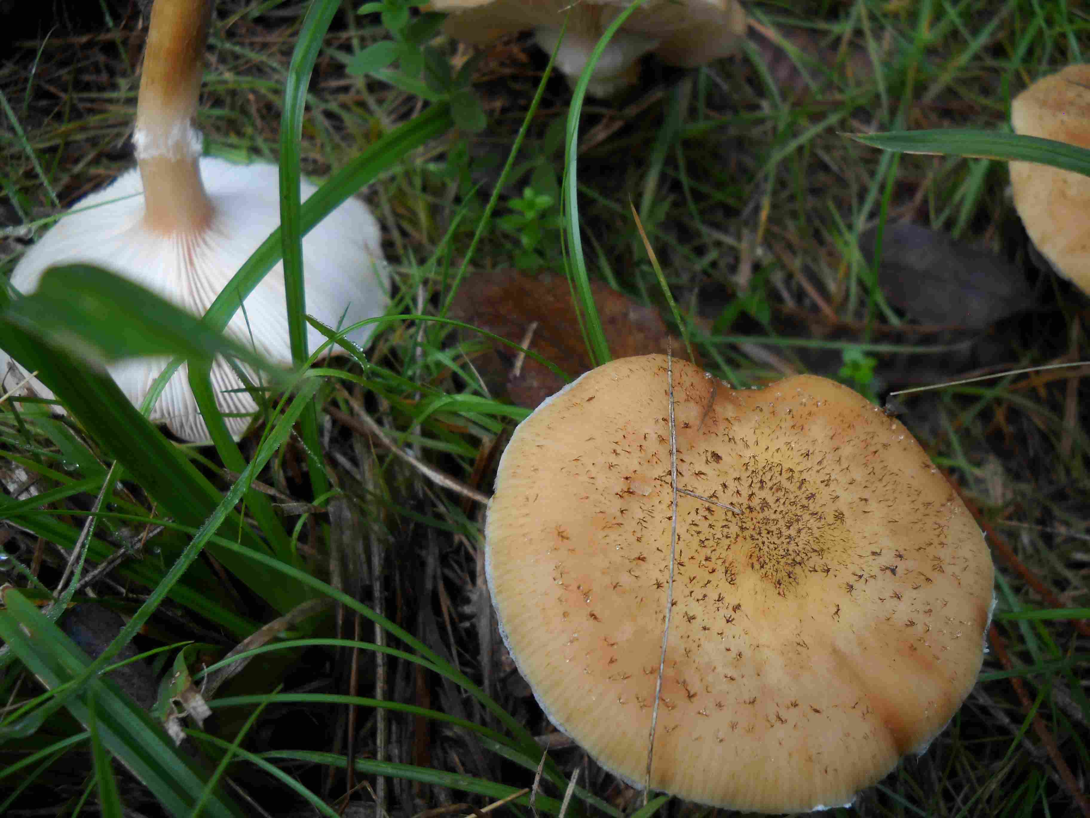 ritrovamenti di oggi