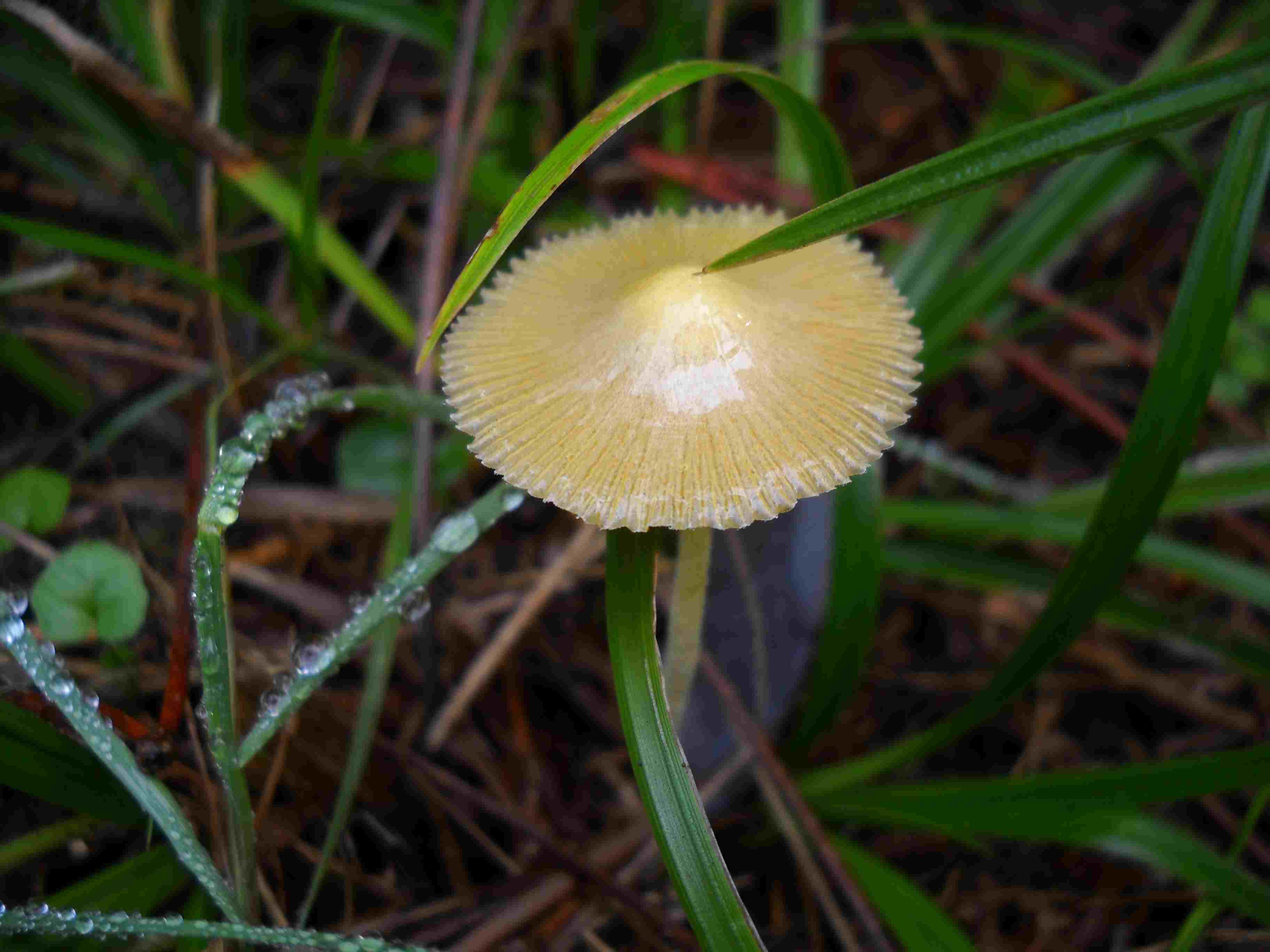 ritrovamenti di oggi
