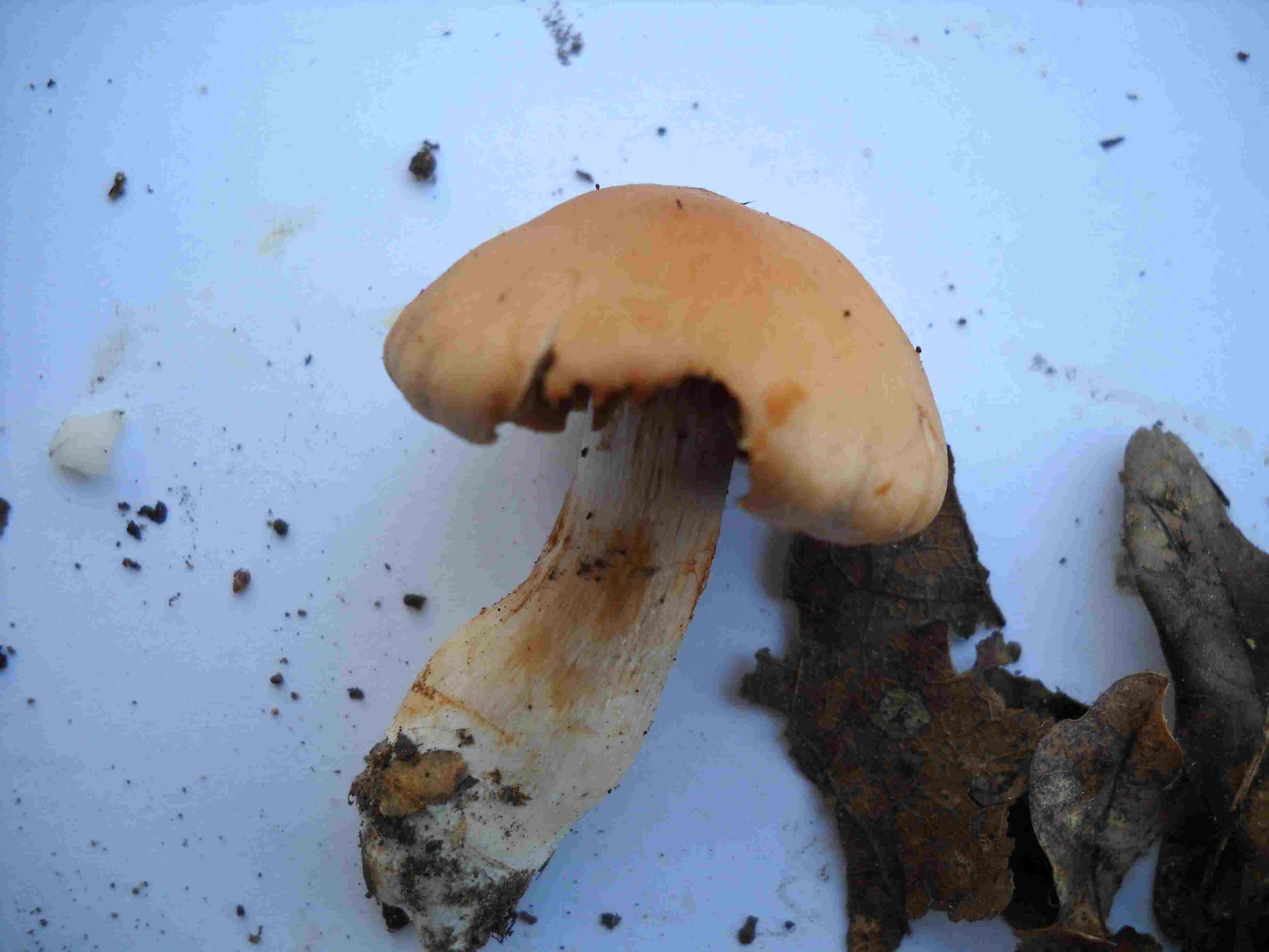 Ritrovamenti di ieri 2