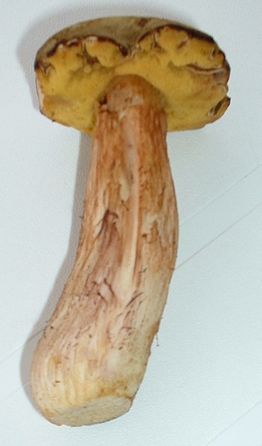 un boleto da determinare