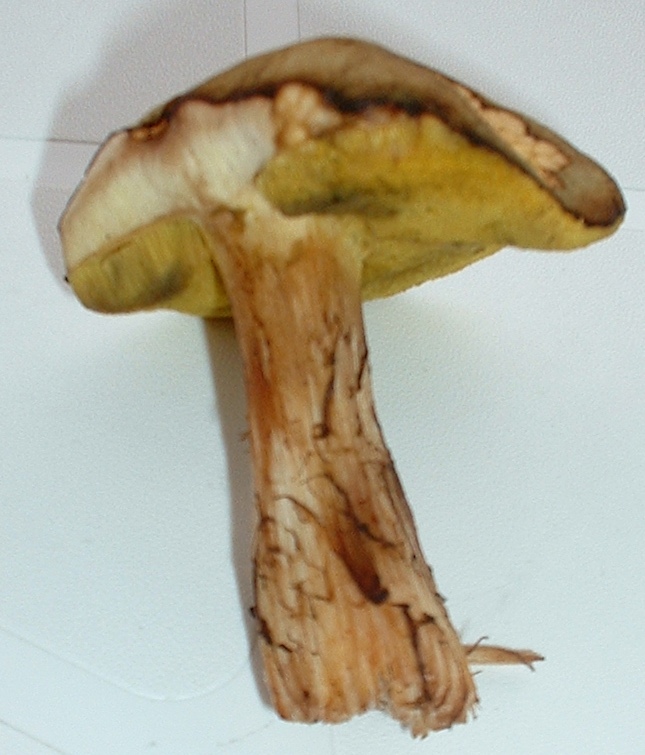 un boleto da determinare