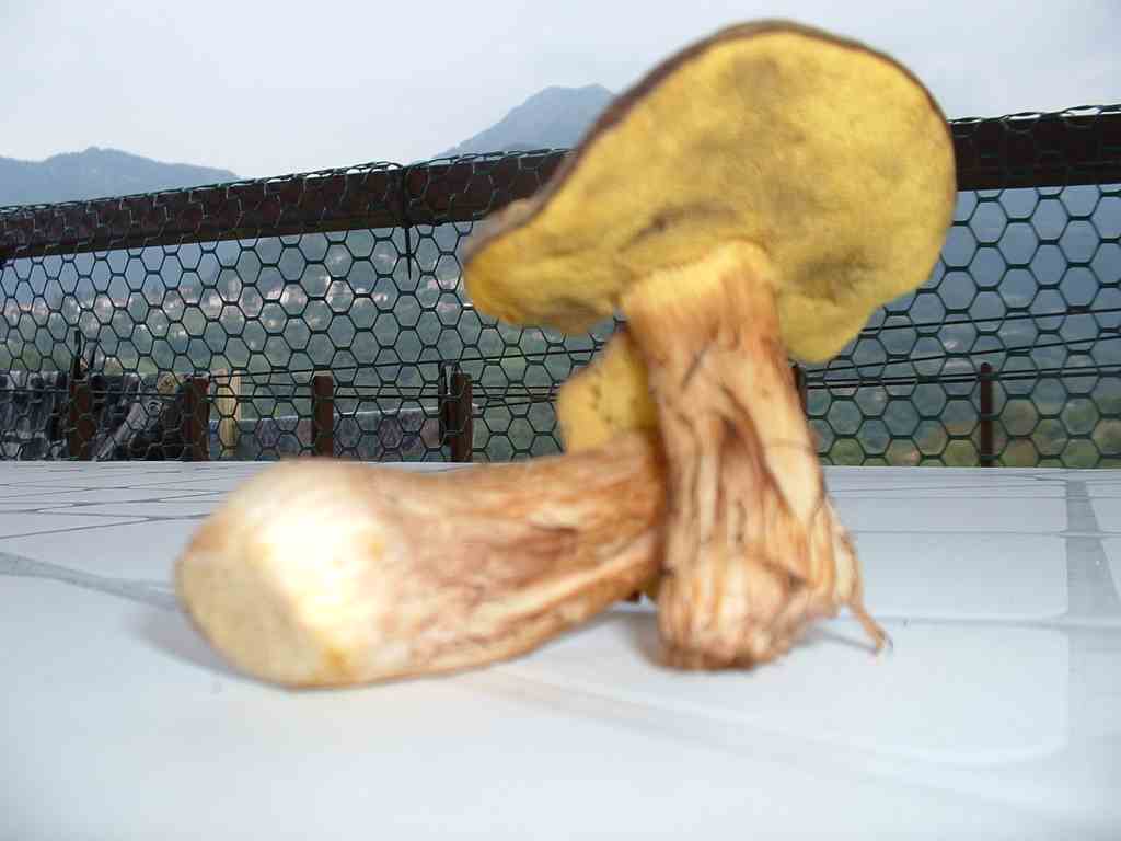 un boleto da determinare