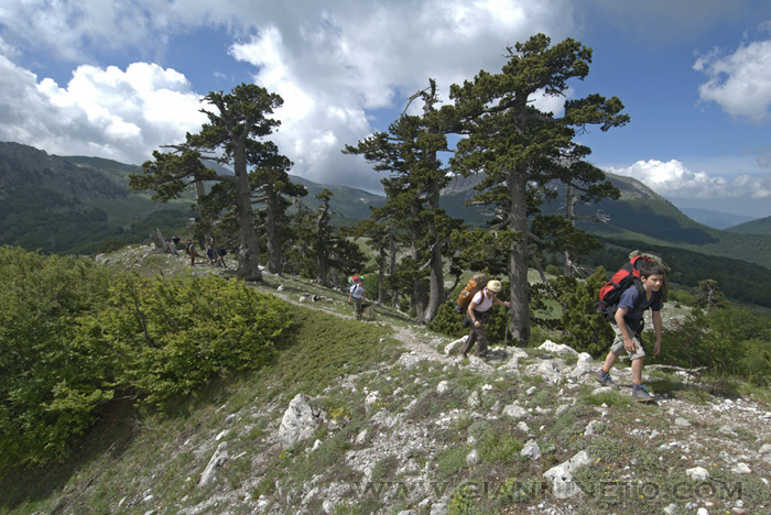 Parco Nazionale del Pollino