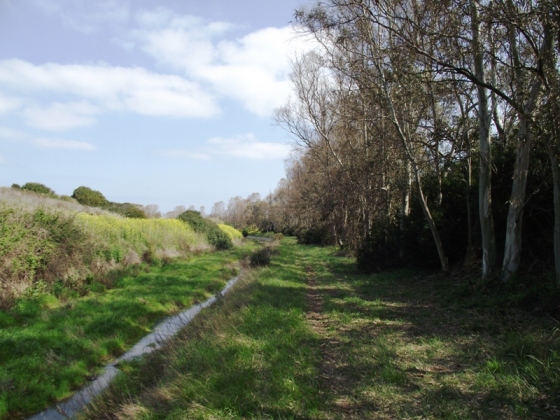 piccolo paradiso per anfibi