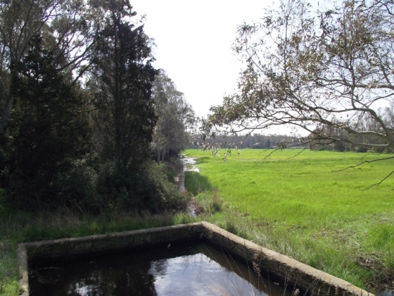 piccolo paradiso per anfibi