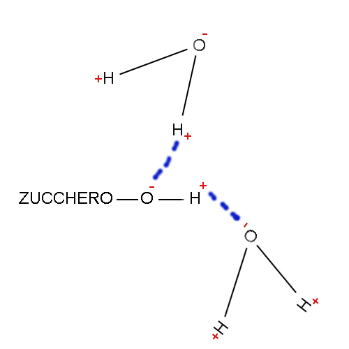 (4)MACROMOLECOLE(PARTE1):glucidi,proteine,lipidi,ac.nucleici