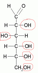 (4)MACROMOLECOLE(PARTE1):glucidi,proteine,lipidi,ac.nucleici