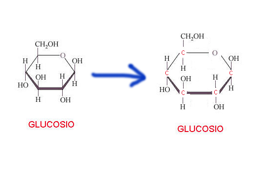 (5)MACROMOLECOLE(PARTE2):glucidi,proteine,lipidi,ac.nucleici