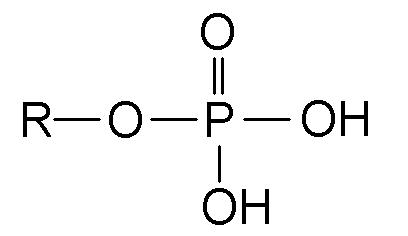 (8)MACROMOLECOLE(PARTE5):glucidi,proteine,lipidi,ac.nucleici