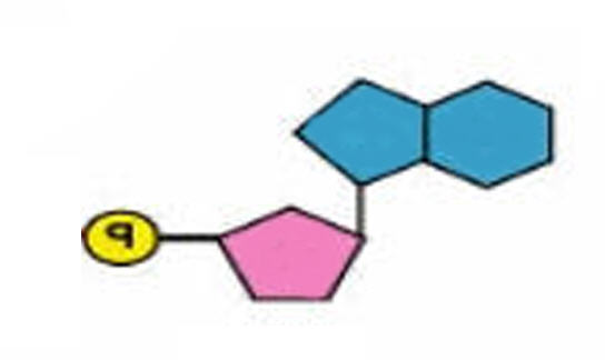 MACROMOLECOLE(PARTE7):glucidi,proteine,lipidi,ac.nucleici