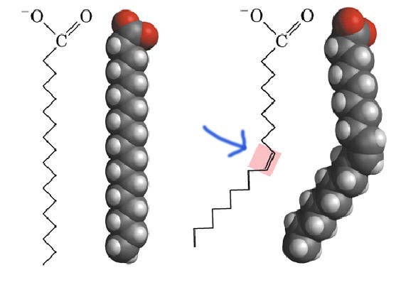 MACROMOLECOLE(PARTE8):glucidi,proteine,lipidi,ac.nucleici