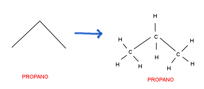 (5)MACROMOLECOLE(PARTE2):glucidi,proteine,lipidi,ac.nucleici