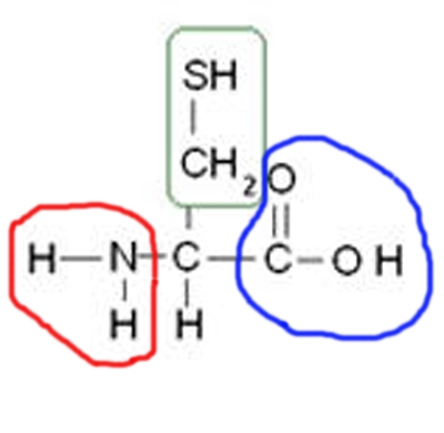 (7)MACROMOLECOLE(PARTE4):glucidi,proteine,lipidi,ac.nucleici