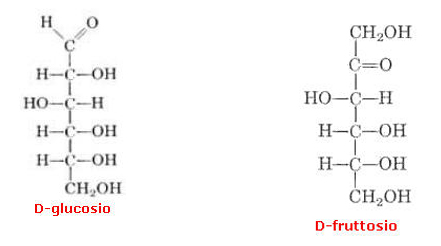 (4)MACROMOLECOLE(PARTE1):glucidi,proteine,lipidi,ac.nucleici