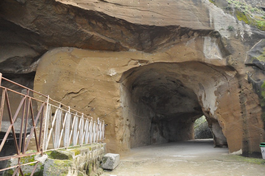 Sibilla cumana
