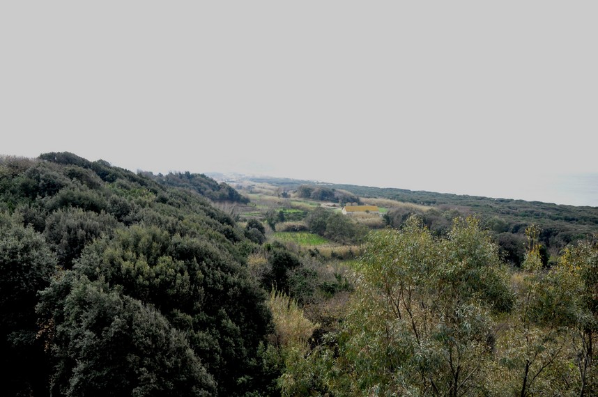 Acropoli cumano