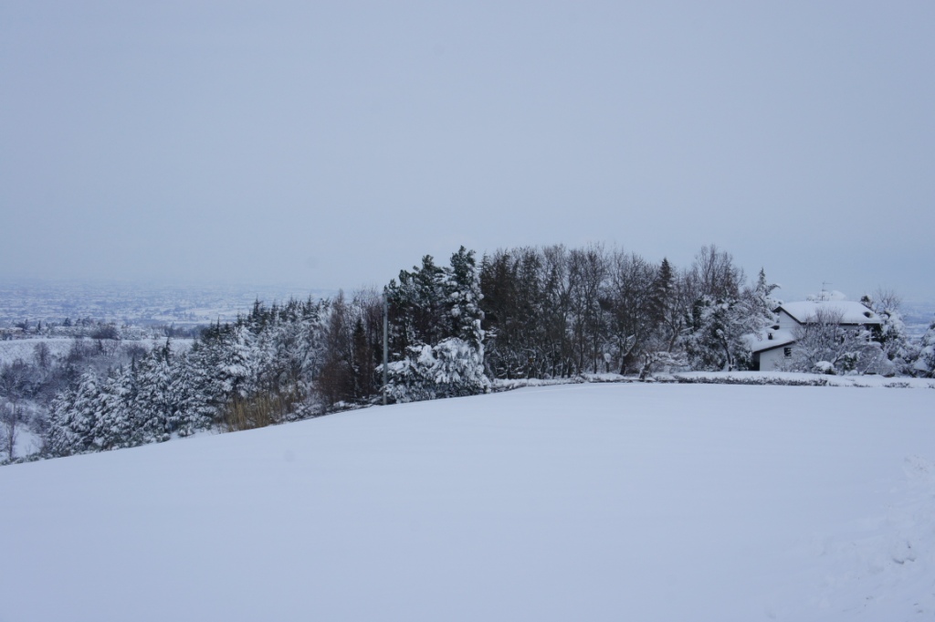 Colline romagnole innevate