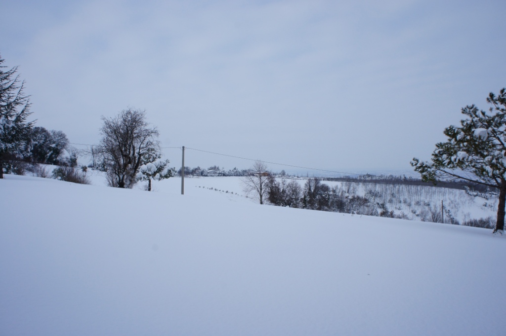 Colline romagnole innevate