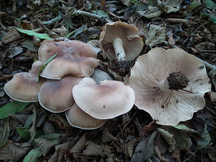 Tre ritrovamenti dello scorso anno