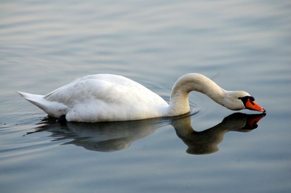 Passeggiata al lago.