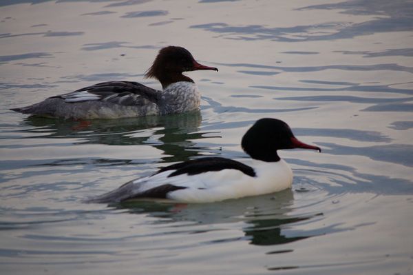 Passeggiata al lago.
