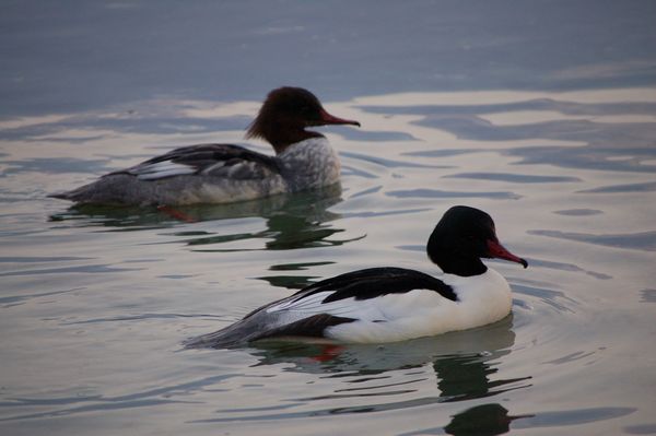 Passeggiata al lago.