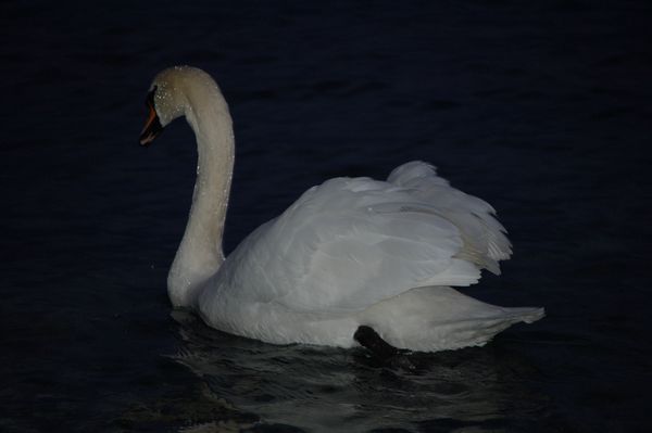 Passeggiata al lago.