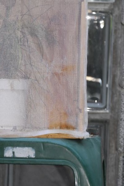 Allevamento di macaone da uovo:  possibile?