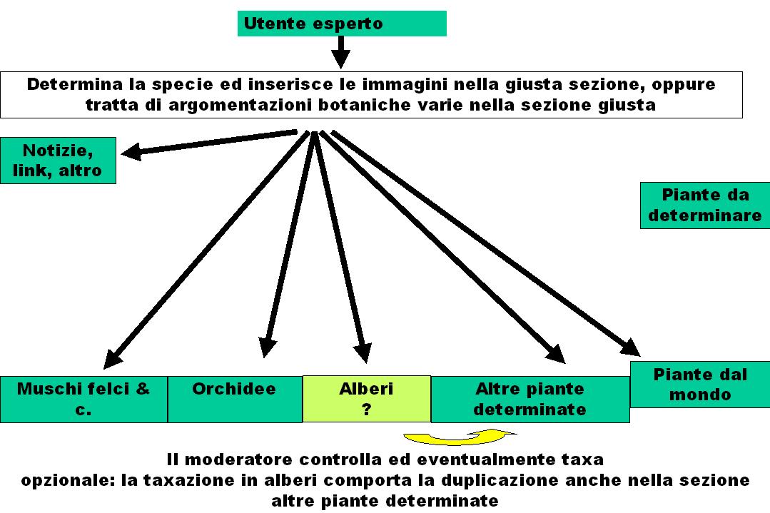 Forum Piante