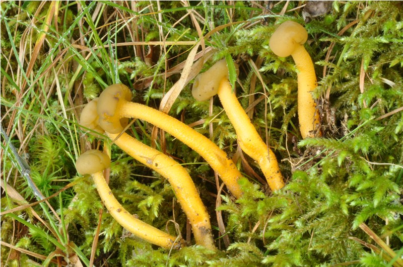 Carrellata settembrina