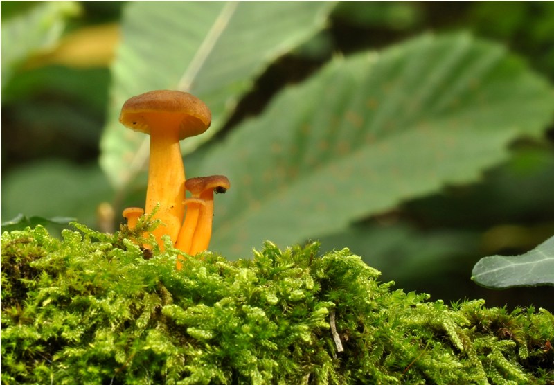 Carrellata settembrina