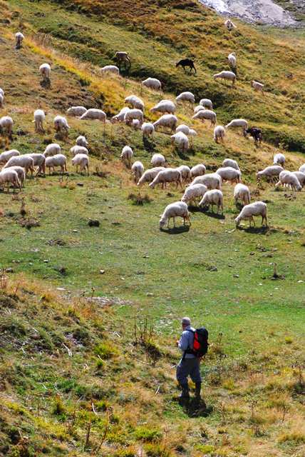 alla ricerca della Monacha orsinii, 2a edizione