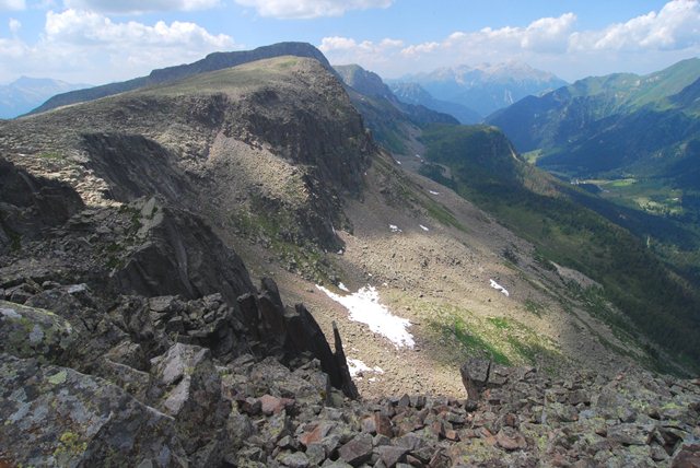 Fringuello alpino Passo Sanpellegrino