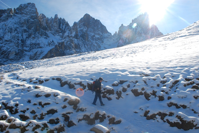 Vitrinidae e c. nella neve