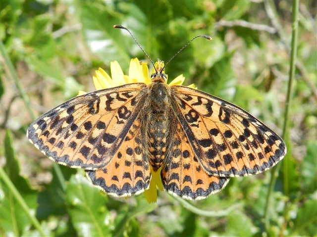 passeggiata al Bosco di Alberobello