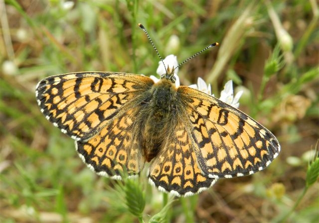 passeggiata al Bosco di Alberobello