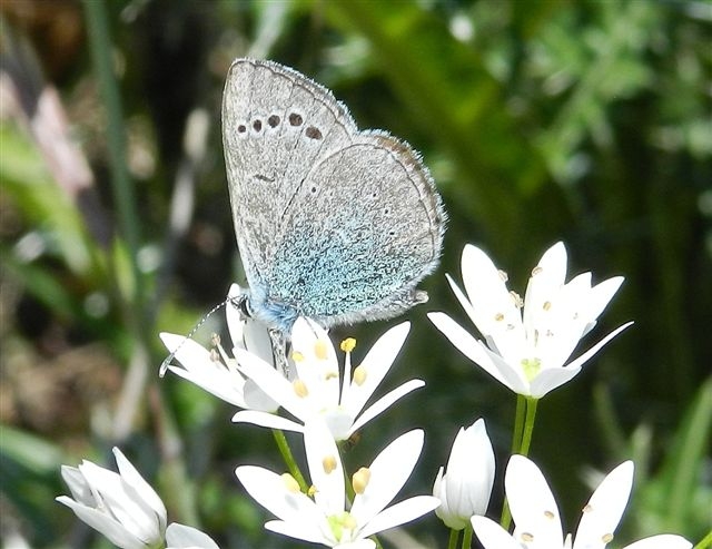 passeggiata al Bosco di Alberobello