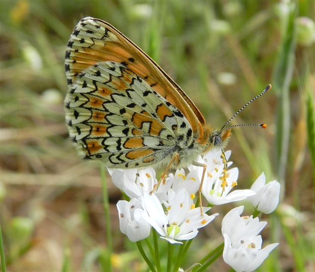 passeggiata al Bosco di Alberobello