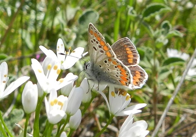 passeggiata al Bosco di Alberobello