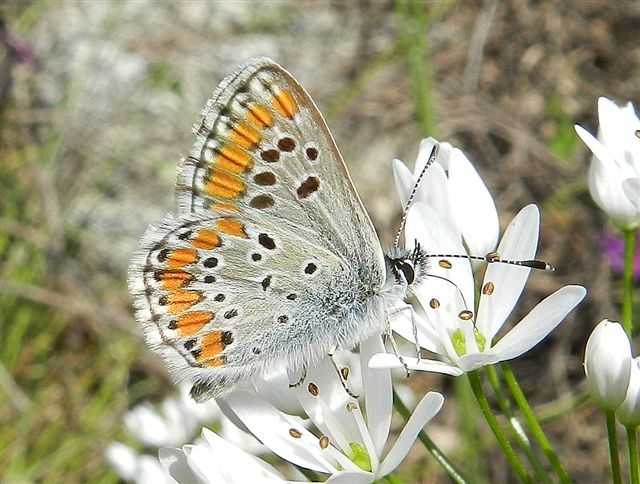 passeggiata al Bosco di Alberobello