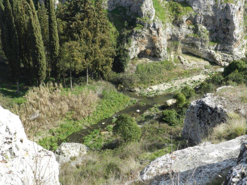 Gravina in Puglia e la thersamon