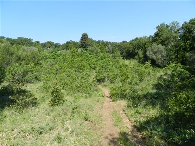 passeggiata al Bosco di Alberobello