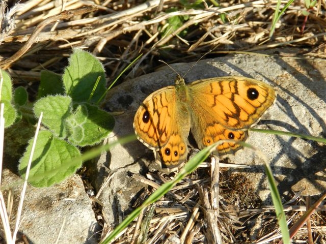 una bella giornata di sole