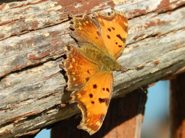 una bella giornata di sole