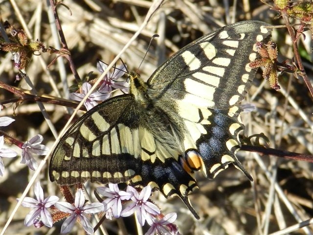 una bella giornata di sole