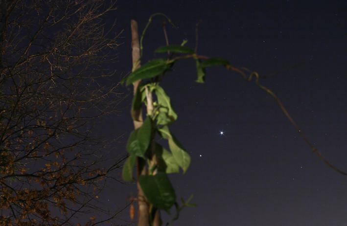 Congiunzione Venere-Giove