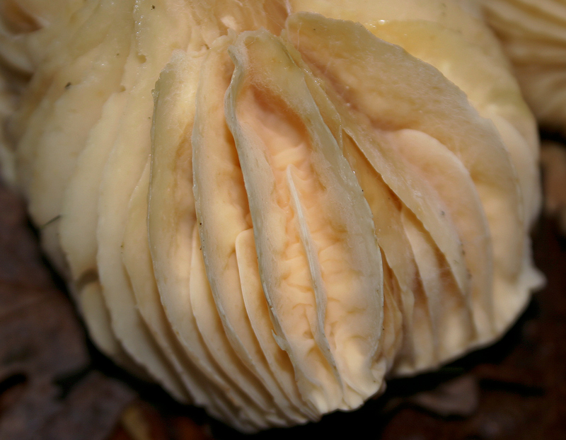 Una bella giornata insieme a gli amici 13/01/2011